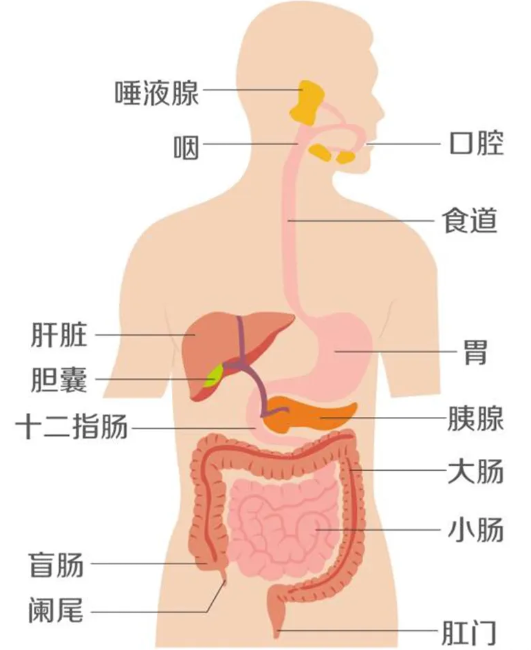 急性胃炎是什么病？