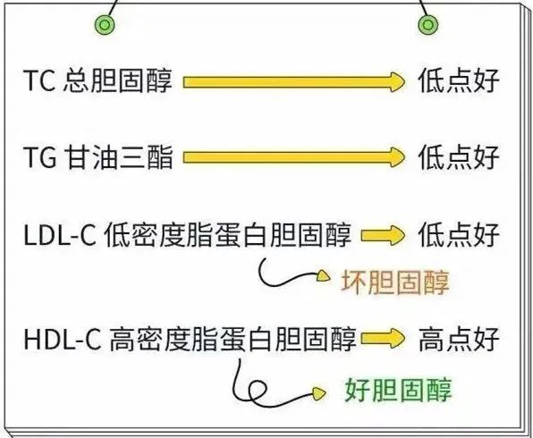 高血脂的症状及危害|千万别忽视血管健康！高血脂的人如何管理饮食最科学？