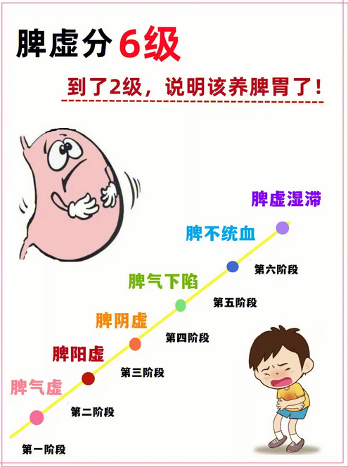 脾虚的症状有哪些表现|揭秘脾虚的症状表现