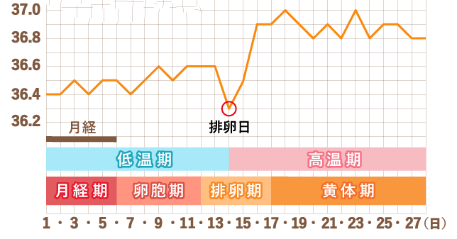 排卵期怎么算才最准确|女性排卵期在什么时候算最准确