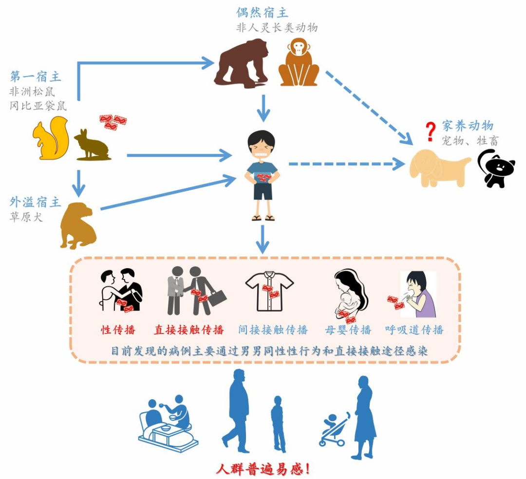 猴痘病毒，请立即做好“战痘”准备~