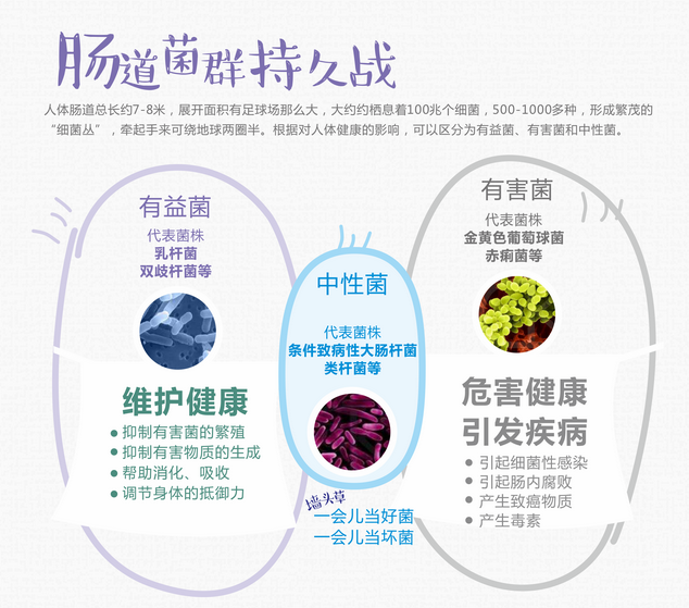 人体吸收营养物质的主要器官是什么